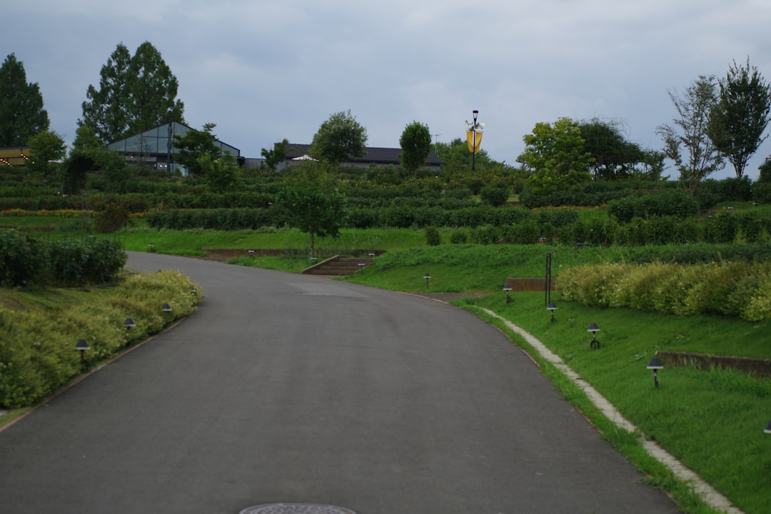 Photo 1 Community garden
